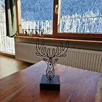 Woidrauschen * רוהפולדינג