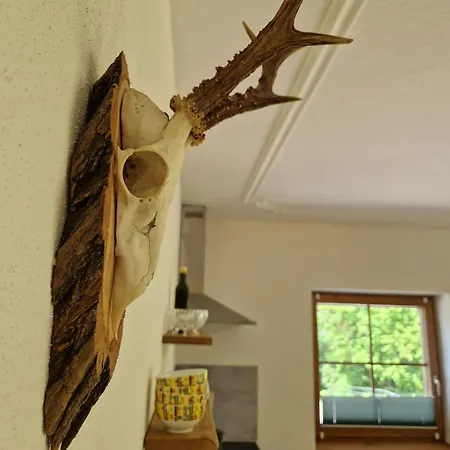Woidrauschen Appartement *